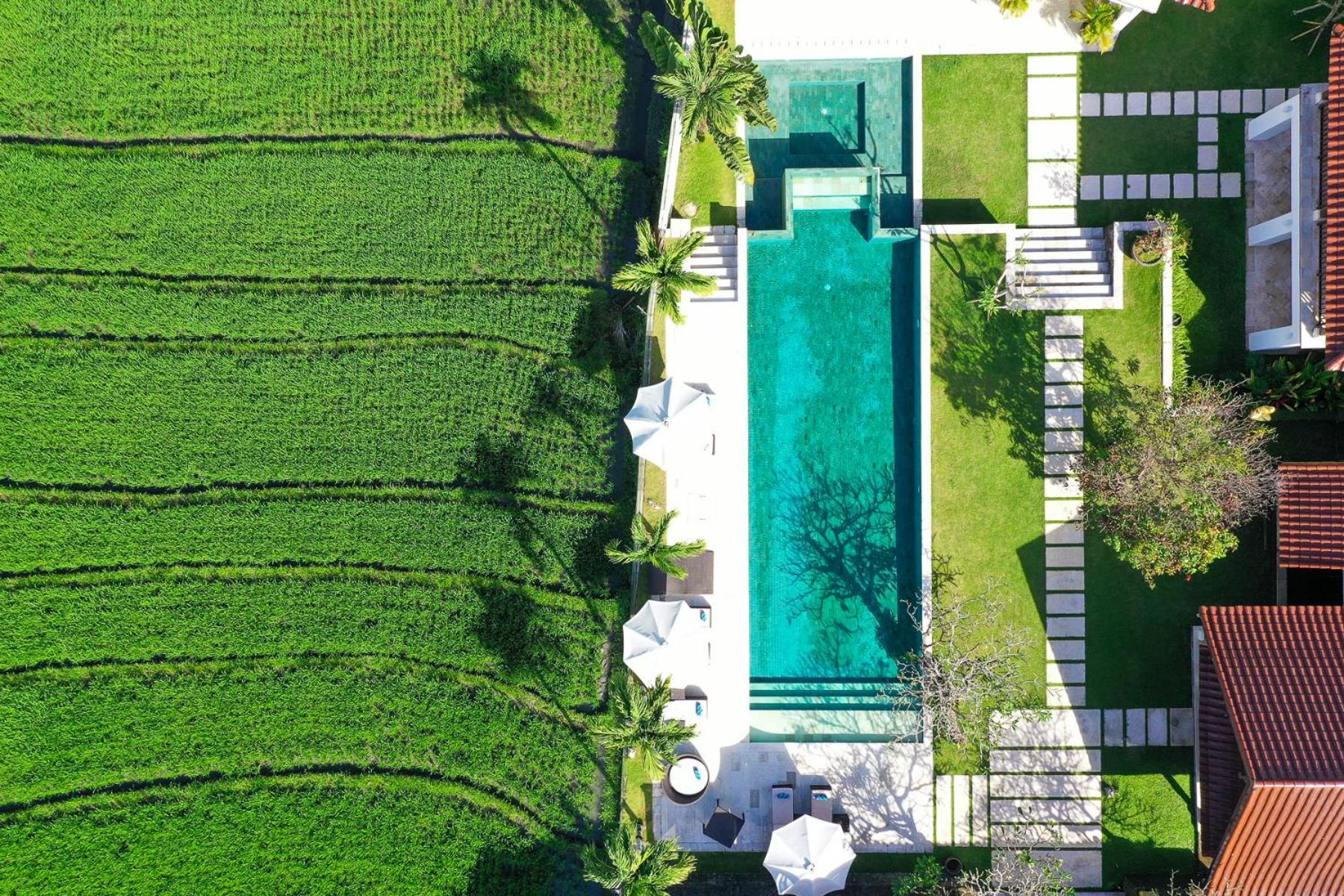 Villa Manis Canggu מראה חיצוני תמונה
